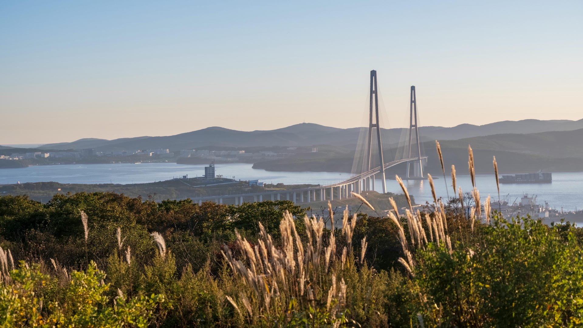 A large bridge spanning across the water, connecting two shores, with green vegetation and tall reeds in the foreground, and mountains and buildings in the distance.