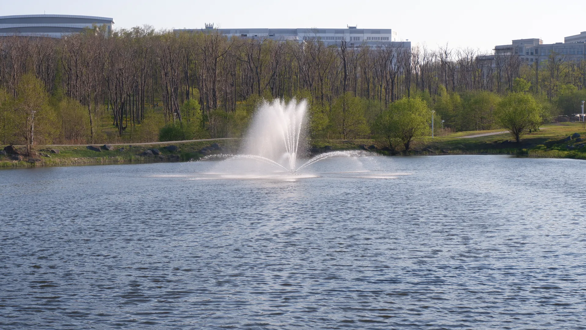 A fountain located in the center of a body of water, shooting water columns upward to form beautiful splashes, surrounded by dense trees with leaves of various colors, and a few low-rise buildings visible in the distance.