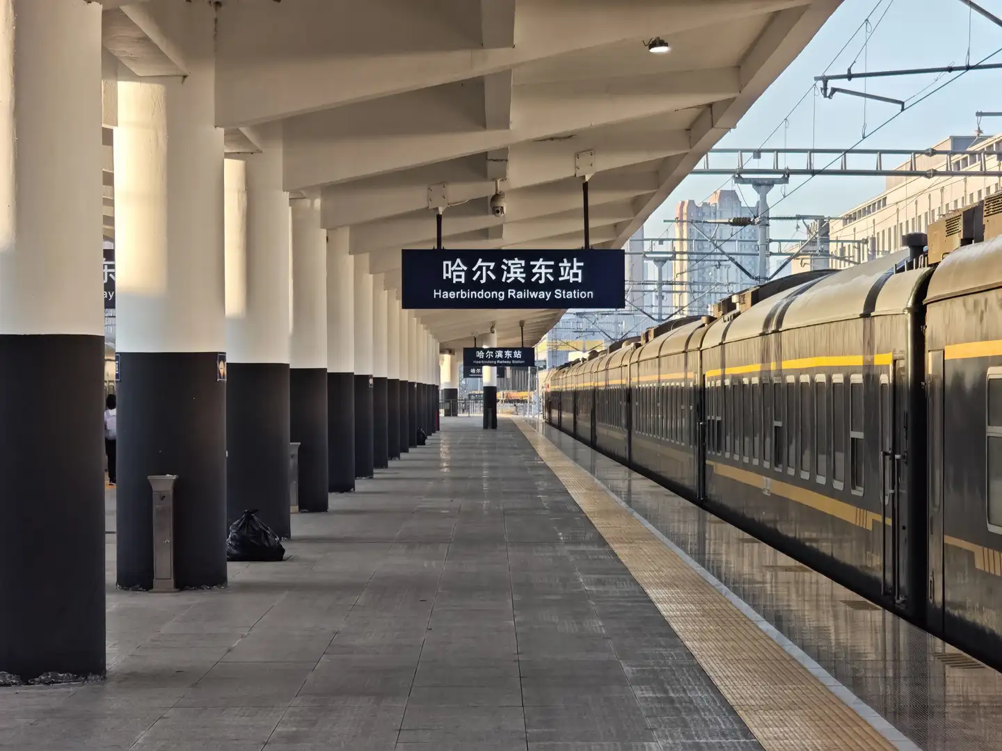 哈尔滨东站的站台上方悬挂着蓝色底白字的指示牌,写着“哈尔滨东站 Haerbindong Railway Station”。站台一侧停靠着一列深色带有黄色条纹的列车,地面铺设整齐的灰色地砖。白色顶棚由多根立柱支撑,部分立柱底部为黑色。