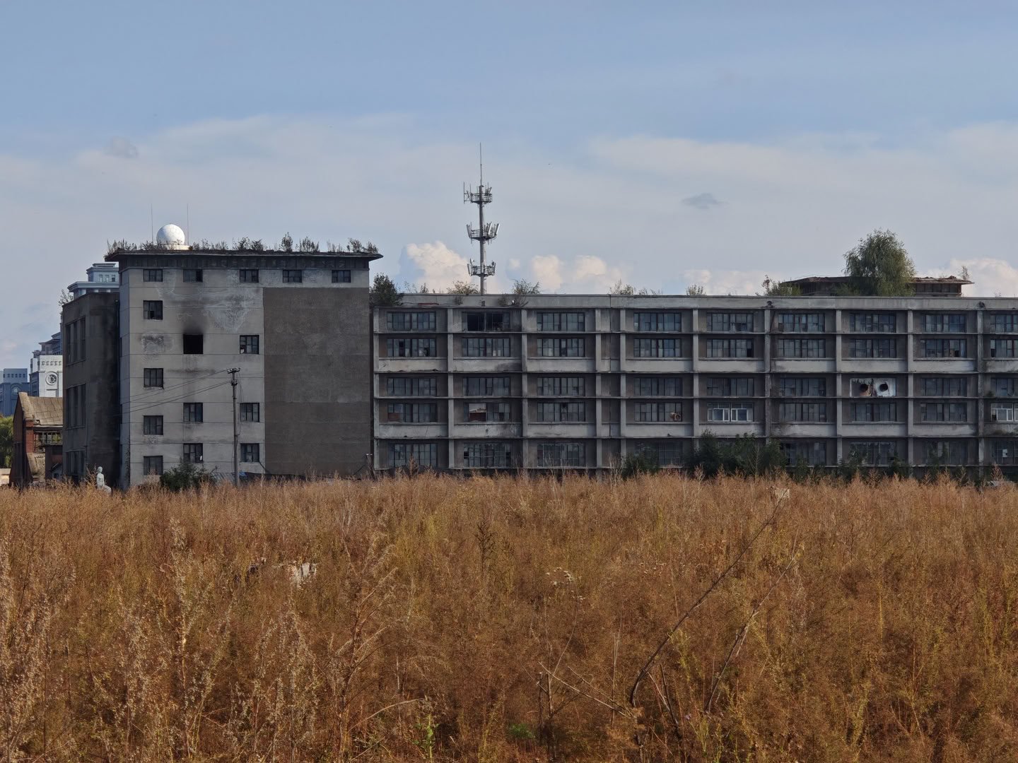一座长条形的灰色多层建筑横跨画面,窗户排列整齐但部分破损。建筑左侧连接着一栋较高的楼房,屋顶设有白色球状物体。建筑后方矗立着一座通信铁塔,前景是大片枯黄的杂草。
