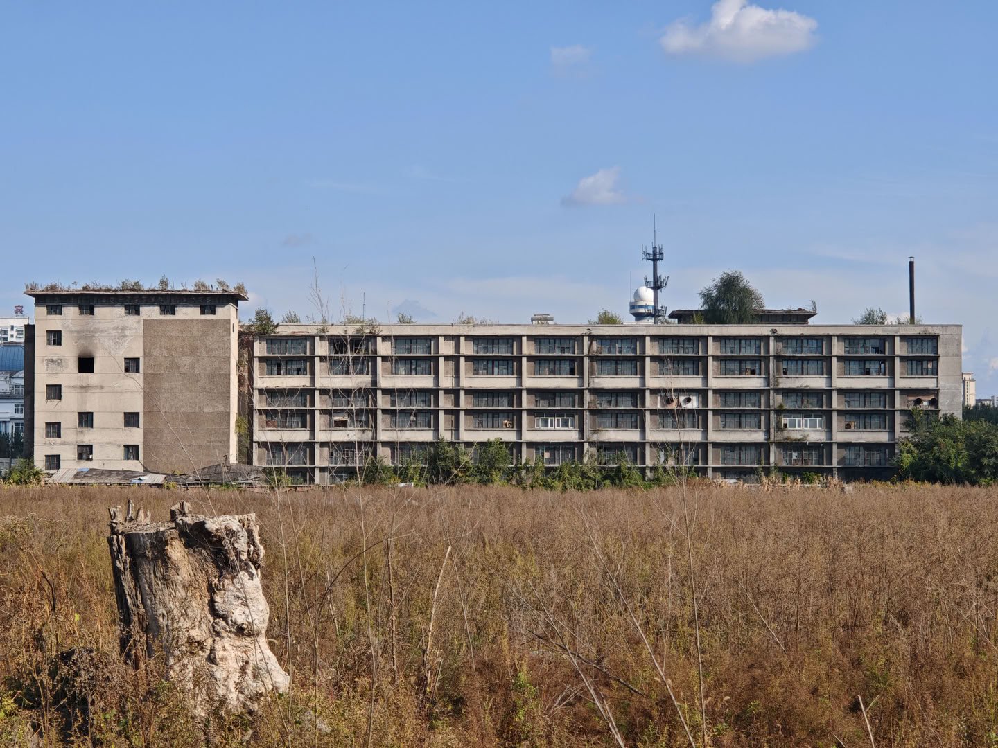 一座长条形的灰色工业建筑位于画面后方,拥有多排窗户。建筑左侧连接着一栋较高的方形楼房,屋顶长有杂草。前景是一片枯黄的荒地,左下角立着一个粗大的树桩。