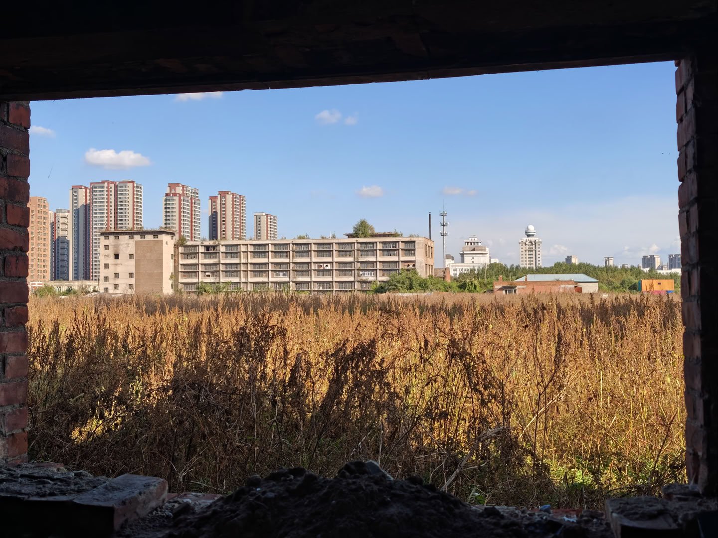 透过宽大的建筑洞口向外望去,前景是大片枯黄的杂草。中景是一座长条形的灰色多层建筑,窗户排列密集。远景左侧矗立着多栋高层住宅楼,右侧可见一座顶部有球体的白色建筑。